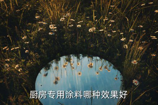 厨房专用涂料哪种效果好