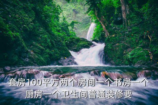 套房100平方两个房间一个书房一个厨房一个卫生间普通装修要
