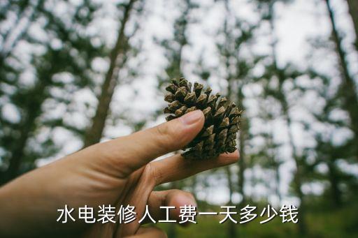 水电装修人工费一天多少钱