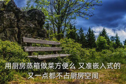 用厨房蒸箱做菜方便么 又准嵌入式的又一点都不占厨房空间