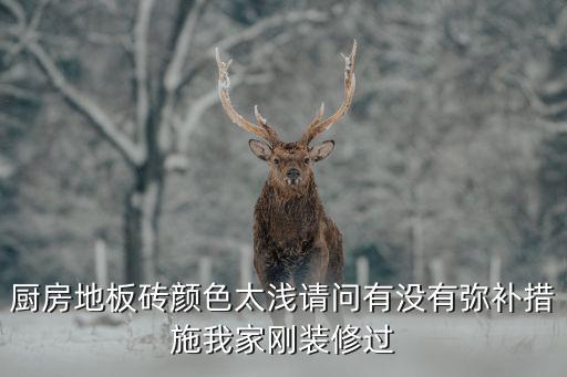 厨房地板砖颜色太浅请问有没有弥补措施我家刚装修过