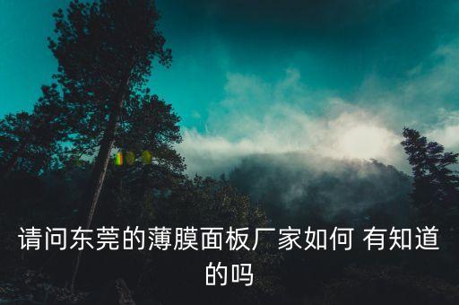 面板厂家，那个在东莞做薄膜面板的生产厂家有哪些呢