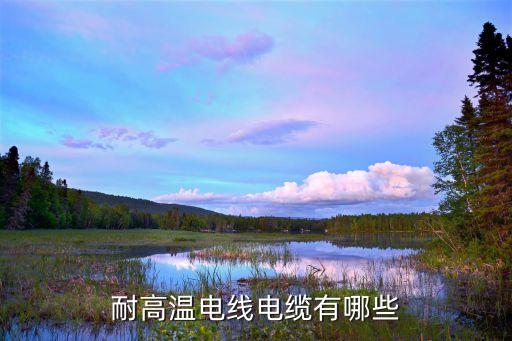 耐高温电线电缆有哪些