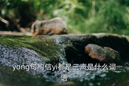 yong句构信yi都是三声是什么词语