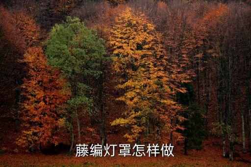 藤编灯罩怎样做