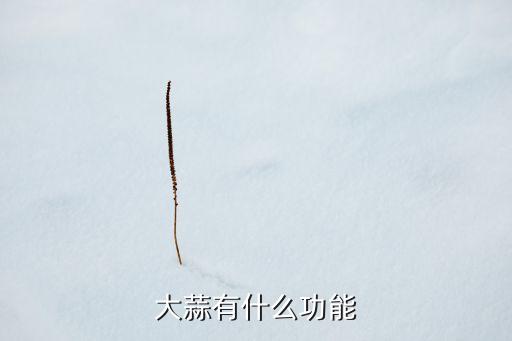 蒜的功效，大蒜的作用有哪些