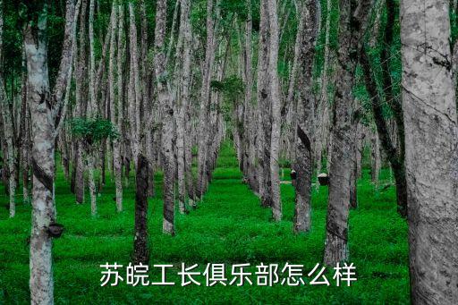 苏皖工长俱乐部，廊坊有个苏皖工长俱乐部是做什么的