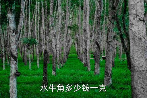 水牛角多少钱一克