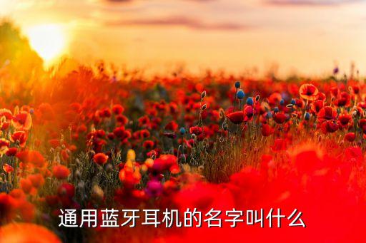 通用蓝牙耳机的名字叫什么
