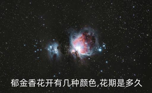郁金香几月开,秦皇河公园郁金香几月开