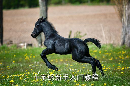 十字绣