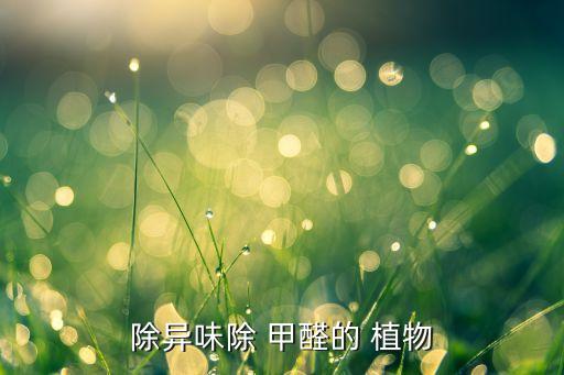 那些植物吸收甲醛,植物吸收甲醛是真是假