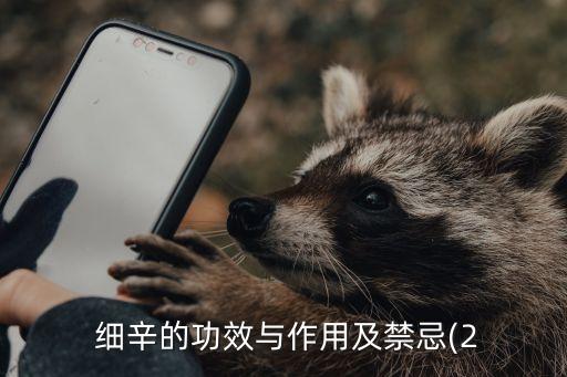 细辛的功效与作用,麻黄的功效与作用与主治