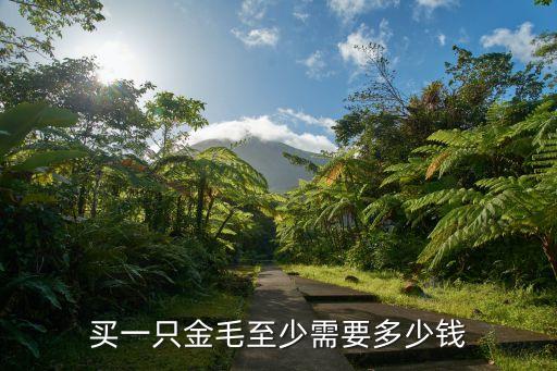 买一只金毛至少需要多少钱