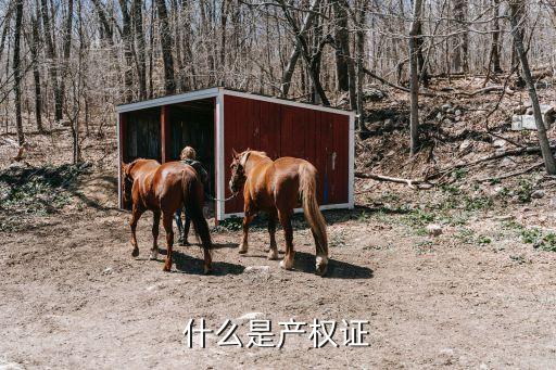 什么是产权证