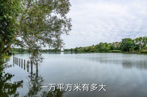一万平方米有多大