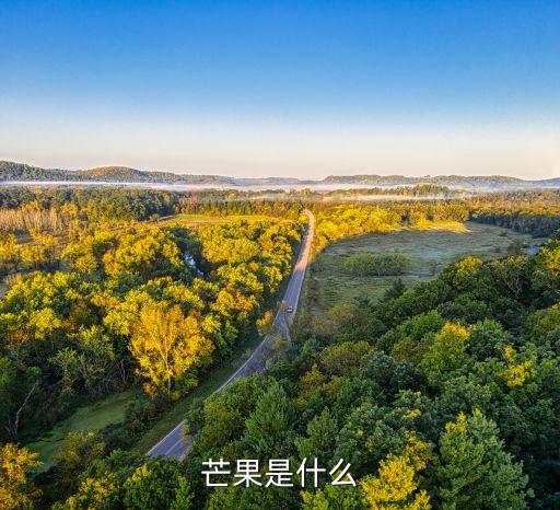 芒果，芒果是什么