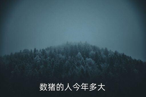 数猪的人今年多大