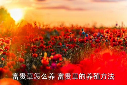 富贵草怎么养 富贵草的养殖方法