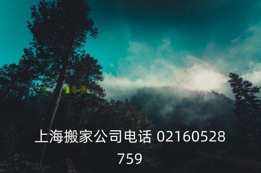上海搬家公司电话 02160528759