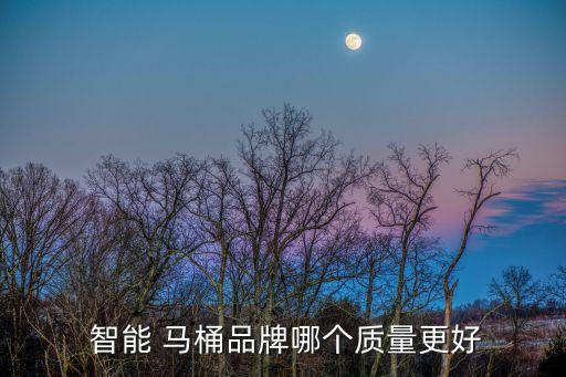  智能 马桶品牌哪个质量更好