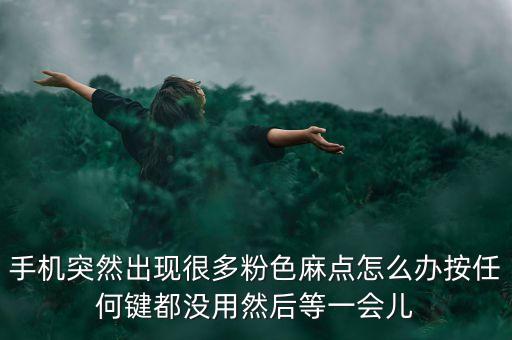 手机突然出现很多粉色麻点怎么办按任何键都没用然后等一会儿