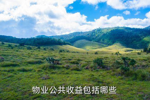 小区公共收益，物业公共收益包括哪些