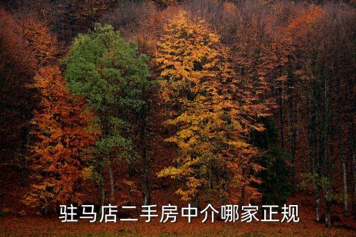  驻马店二手房中介哪家正规