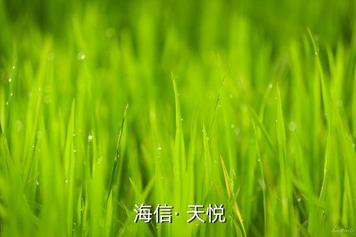  海信· 天悦