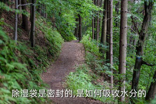 除湿袋是什么原理,这些除湿袋怎么做?