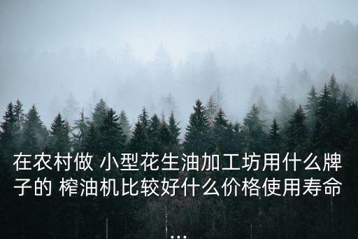 在农村做 小型花生油加工坊用什么牌子的 榨油机比较好什么价格使用寿命...