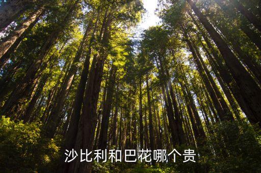 莎比利