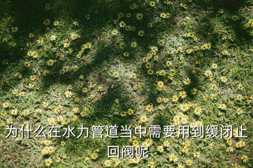 缓闭式止回阀,阻闭止回阀打不开是什么原因造成?