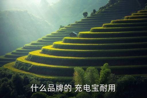 什么品牌的 充电宝耐用