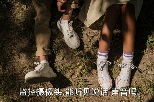 监控能听到声音吗,监控器有声控吗?可以听到声音吗?