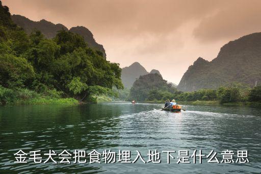 金毛论坛,如何训练成年金毛犬?看这里!