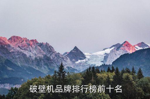  破壁机品牌排行榜前十名