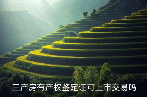  三产房有产权鉴定证可上市交易吗
