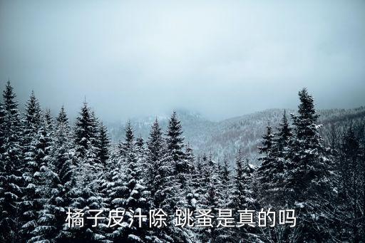深圳跳蚤