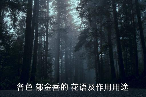 各色 郁金香的 花语及作用用途
