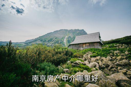 南京房产，南京房产网网址是哪个