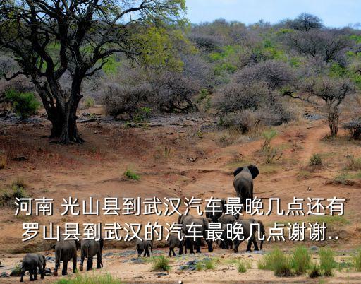 光山在线,中国顺丰快递光山新西亚东门开始派送快递