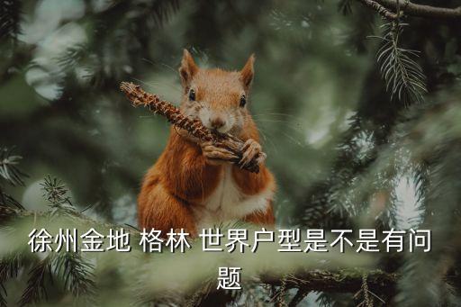 徐州金地 格林 世界户型是不是有问题