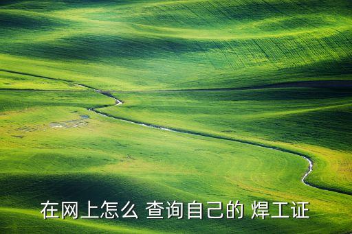 在网上怎么 查询自己的 焊工证