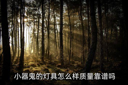  小器鬼的灯具怎么样质量靠谱吗