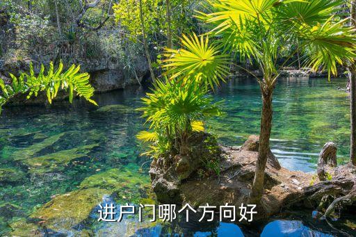 进户门哪个方向好