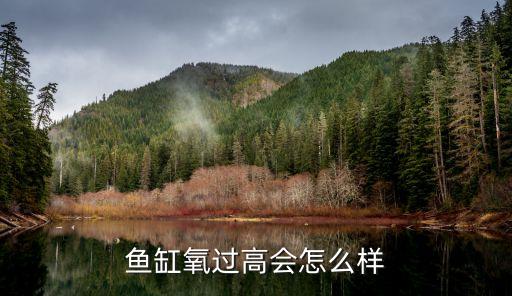 鱼缸氧过高会怎么样