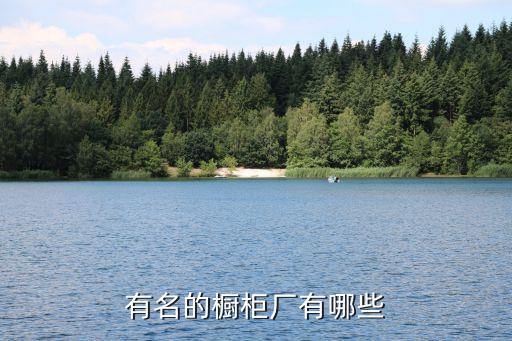 有名的橱柜厂有哪些
