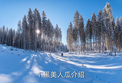 1.黑美人瓜介绍