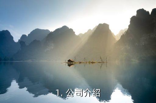 1. 公司介绍